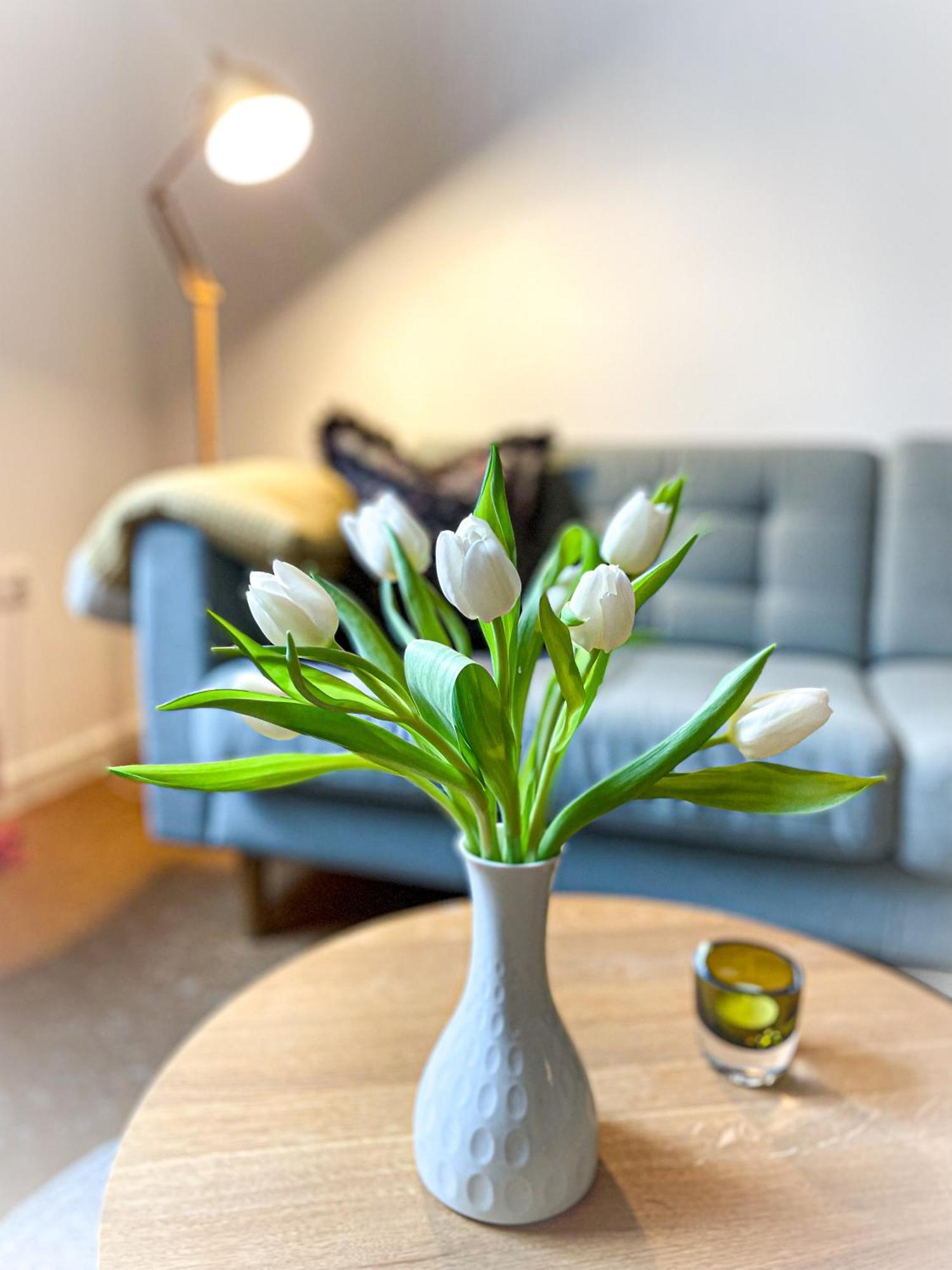 Apartments "Am Rheinorange", Netflix & Prime Duisburg Ngoại thất bức ảnh