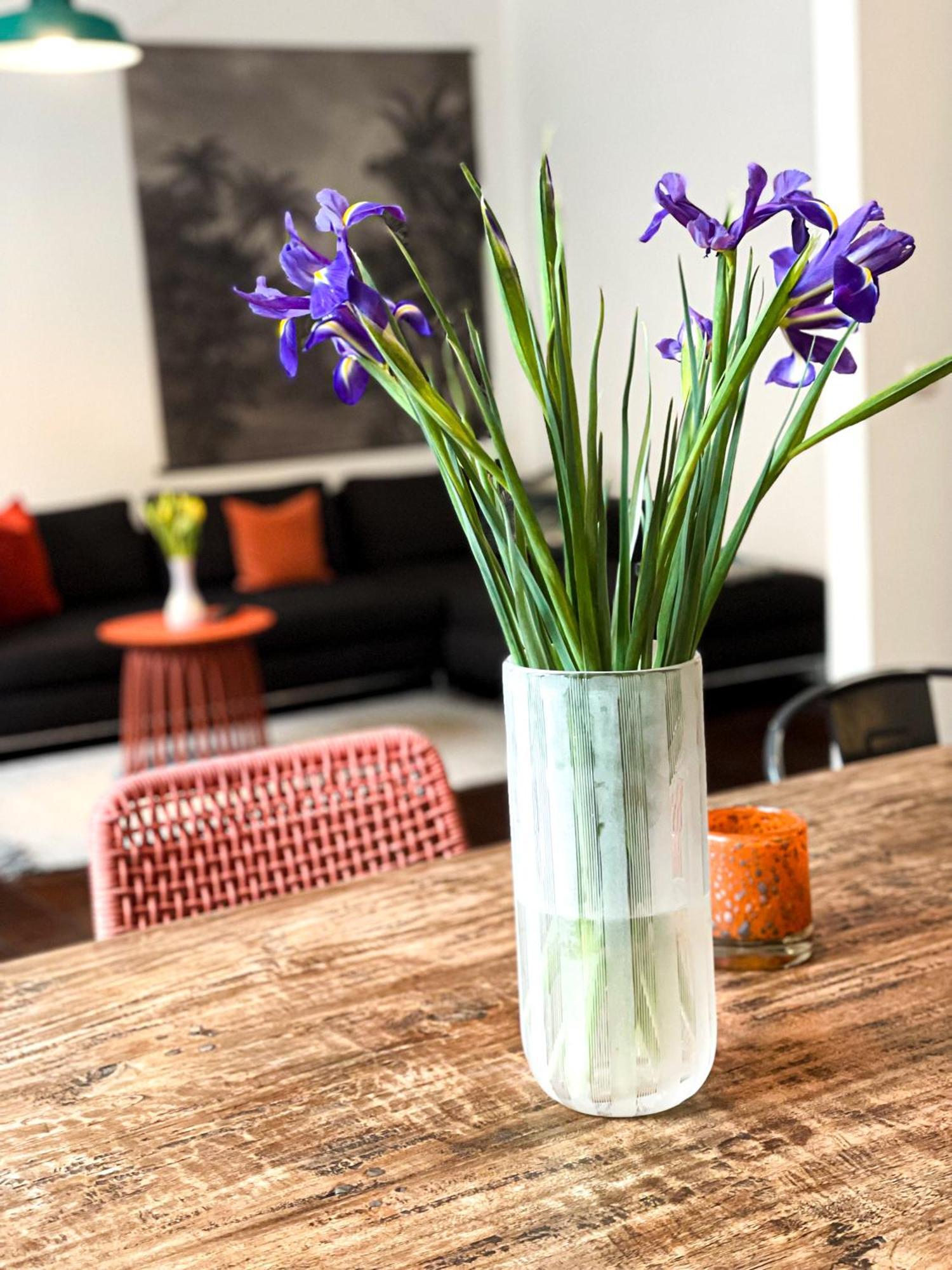 Apartments "Am Rheinorange", Netflix & Prime Duisburg Ngoại thất bức ảnh